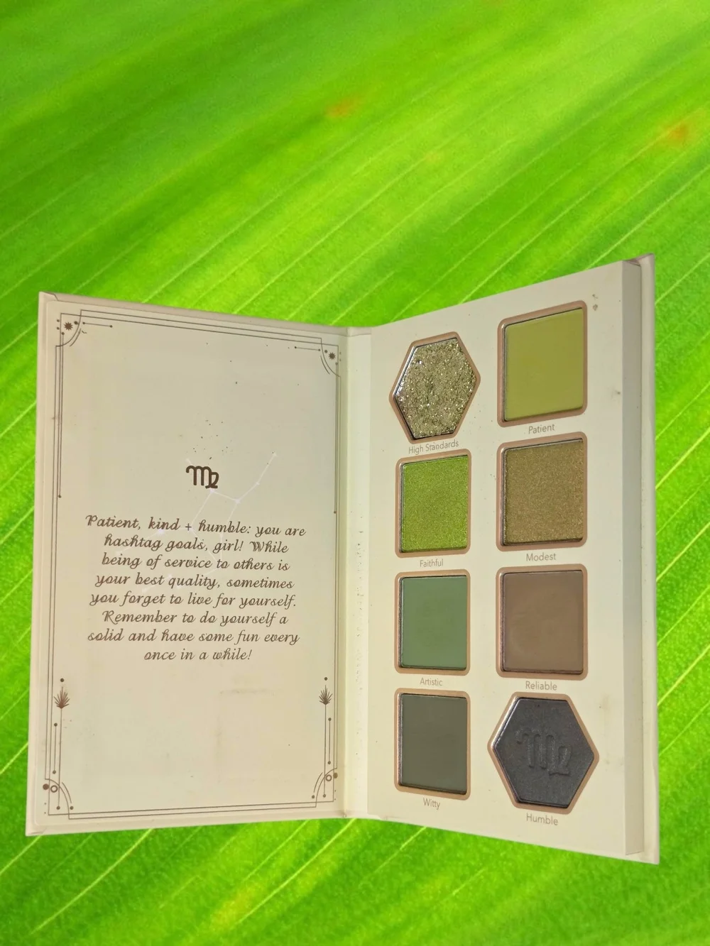 SHEGLAM NWT Virtuous Virgo Eyeshadow Palette Virgo Zodiac Eyeshadow Palette